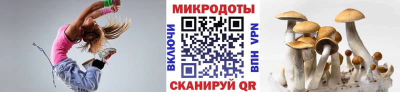 Галлюциногенные грибы Cubensis  Купить  Чёрмоз 